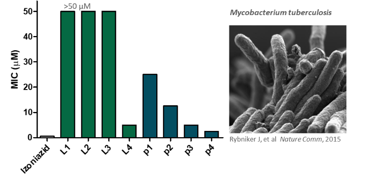 Antimicrobial peptides