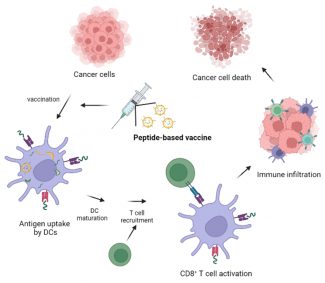 Synthetic vaccines for immunotherapy